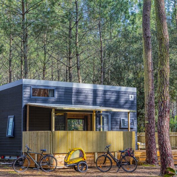 BARDAGE SATURATEUR PROTECT