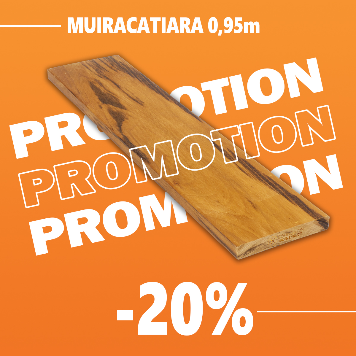 promo-Muiracatiara-20